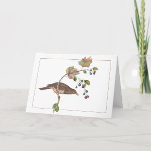 Carte Oiseau Brown sur une branche colorée de Blackberry