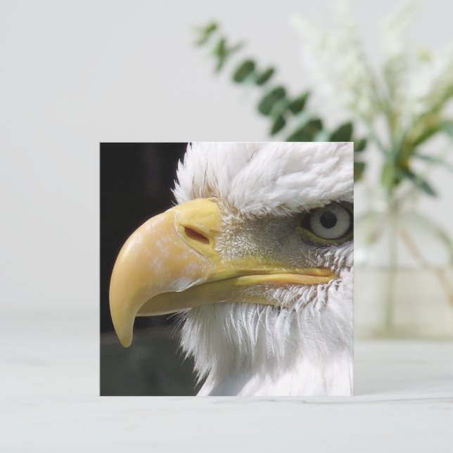 CARTE OISEAU D'AGLE (Debout devant)