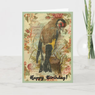Carte Oiseau d'anniversaire vintage avec Arrière - plan