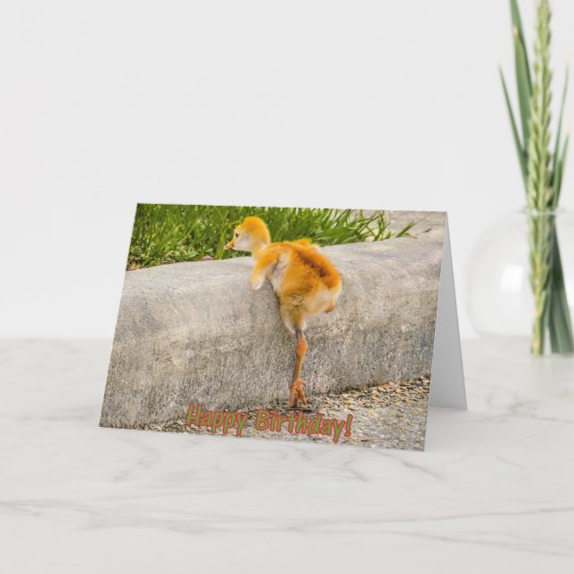 Carte Oiseau de bébé de JOYEUX ANNIVERSAIRE (Devant)