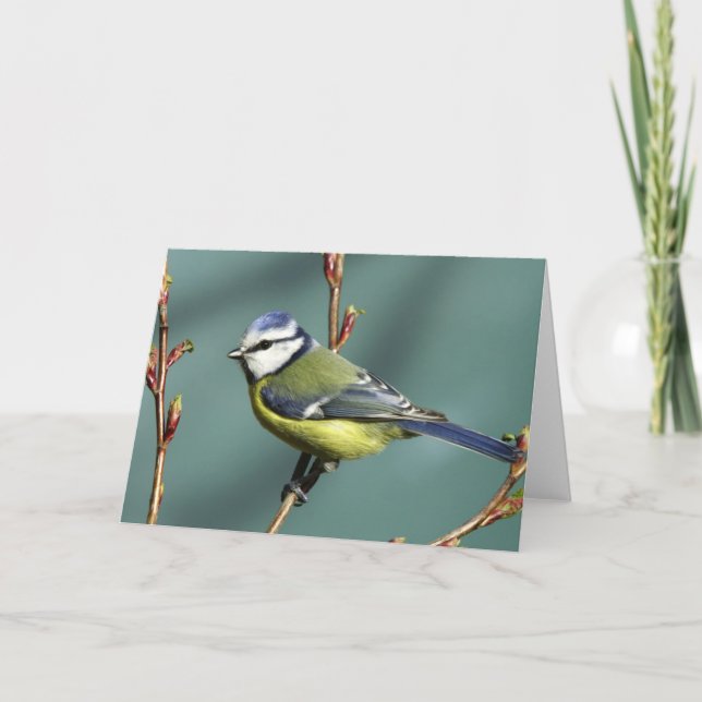 Carte Oiseau de chanson (Devant)