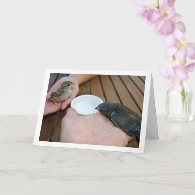 Carte Oiseau de l'eau et Oiseau du Bruant à la main (Orchidée)