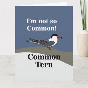 Carte Oiseau de mer de la sterne commune amusant
