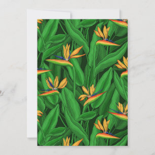 Carte Oiseau de nuit du jardin du paradis