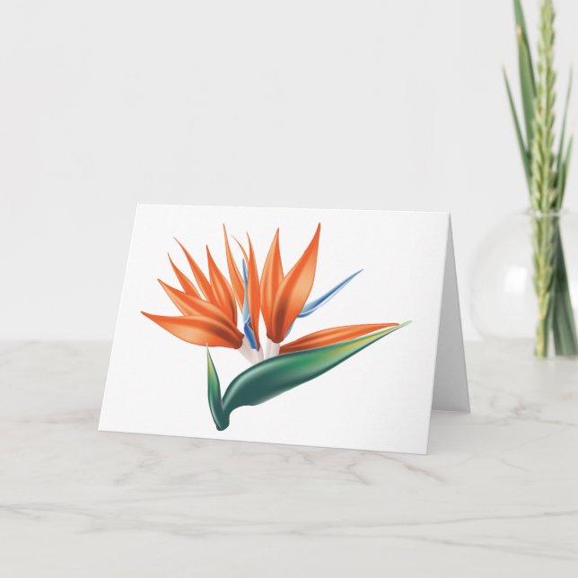 Carte Oiseau de paradis, fleur exotique strelitzia (Devant)
