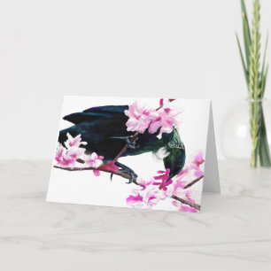 Carte Oiseau de Tui alimentant sur des fleurs de