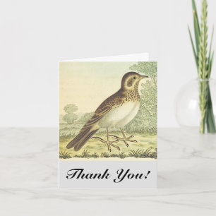 Carte Oiseau debout sur le sol, "Merci !"
