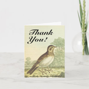 Carte Oiseau debout sur le sol, "Merci !"