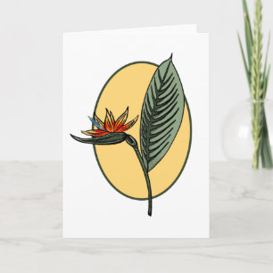 Carte Oiseau du paradis