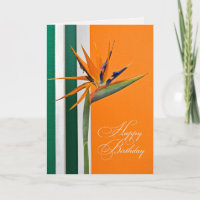 Oiseau du Paradis Anniversaire