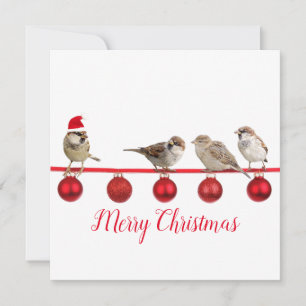 Carte Oiseau mignon avec chapeau de Père Noël Joyeux Noë