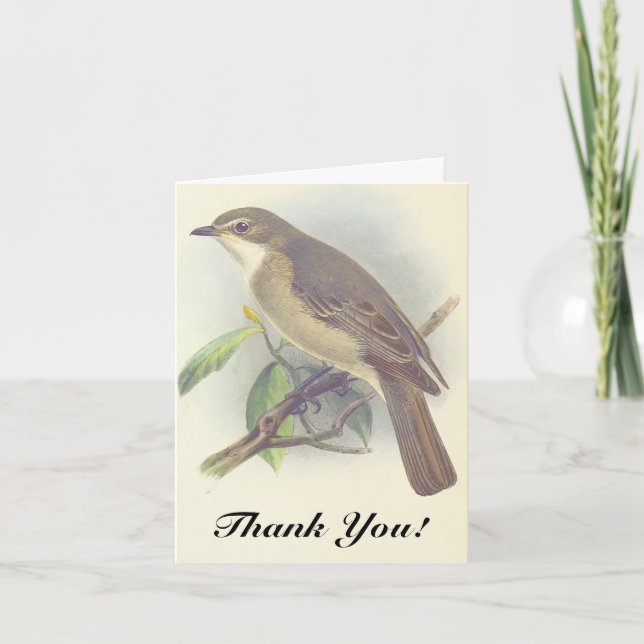 Carte Oiseau perché sur une branche d'arbre, "Merci !" (Devant)