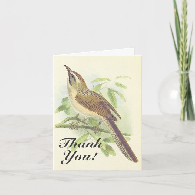 Carte Oiseau perché sur une branche, "Merci !" (Devant)