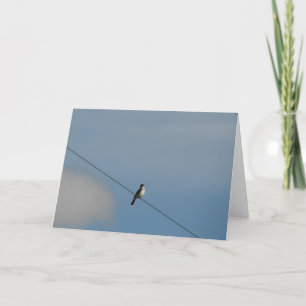 Carte Oiseau sur fil Toutes les occasions