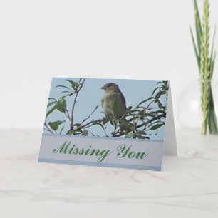 Carte Oiseau sur la branche