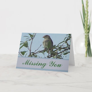 Carte Oiseau sur la branche