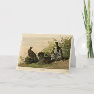 Carte Oiseaux d'Amérique du Grouse Audubon tacheté (épin