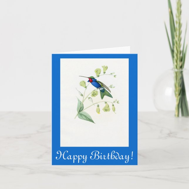 Carte Oiseaux de colibri Fleurs Flore Animaux sauvages (Devant)