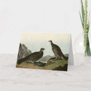 Carte Oiseaux de l'Amérique du Nord