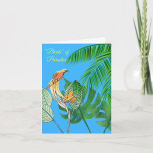 Carte Oiseaux de Paradis