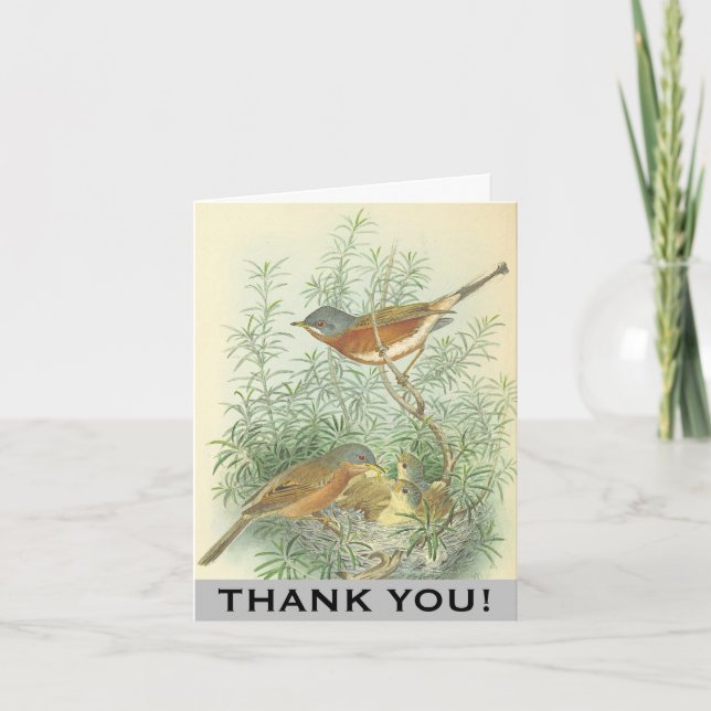 Carte Oiseaux, nid d'oiseaux dans un arbre "MERCI" ! (Devant)
