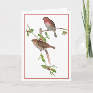 Carte Oiseaux rouges sur une branche de Berry