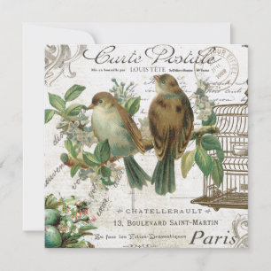 Carte Oiseaux Vintages et volières