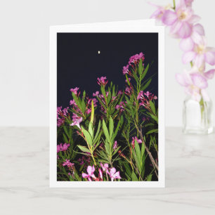 Carte Oleander rose la nuit