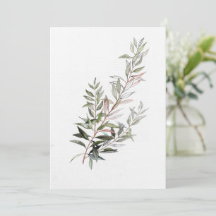 Carte Olive Palestine