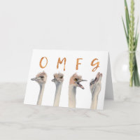 OMFG C'est ton anniversaire | Oiseaux d'autruche a