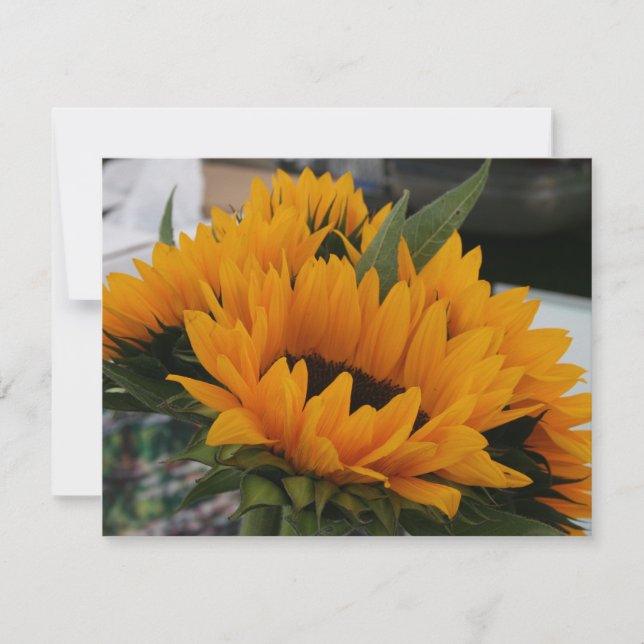 Carte On dirait un tournesol (Devant)