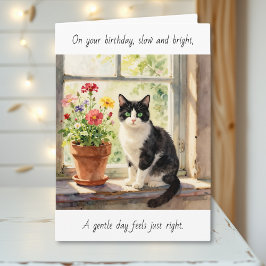Carte On Your Birthday | Cat Themed Relaxing Day