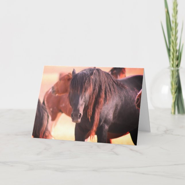 CARTE ONAQUI HERD WILSE HORSE GREETING CARD (Devant)