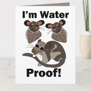 Carte Opossum d'eau Je suis Étanche Drôle
