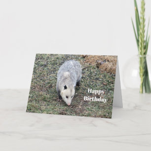 Carte Opossum Photo Anniversaire