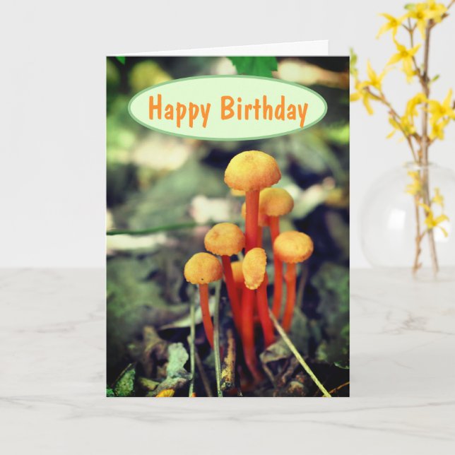 Carte Orange Champignons Nature Anniversaire (Fleur jaune)
