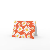 Orange Daisy