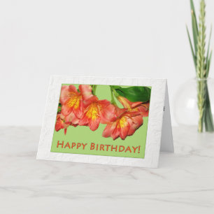 Carte Orange et fleurs de Pêche Joyeux anniversaire