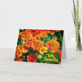 Carte Orange Fleurs D'Éternezèfre Photo Avec Sympathie