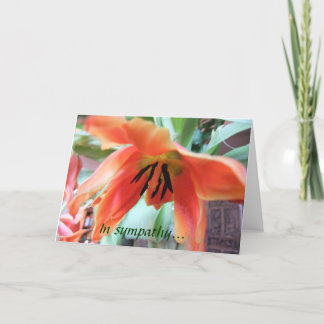 Carte Orange Lily Sympathy