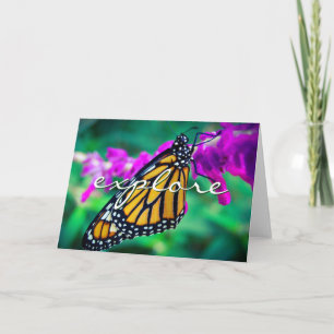Carte Orange Monarch Butterfly Photo Explorer Script