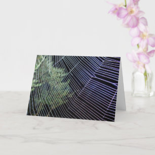 Carte Orange Wheelweaving Spider Web