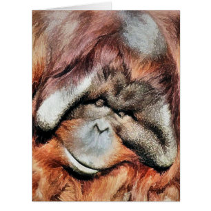 CARTE ORANGUTAN