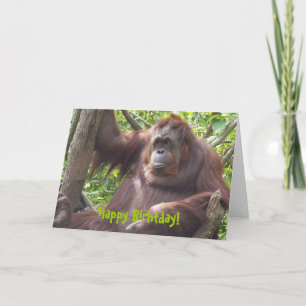 Carte Orangutan Joyeux Anniversaire !