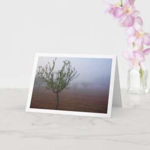 Carte Orchard d'amandiers sur Foggy Morning