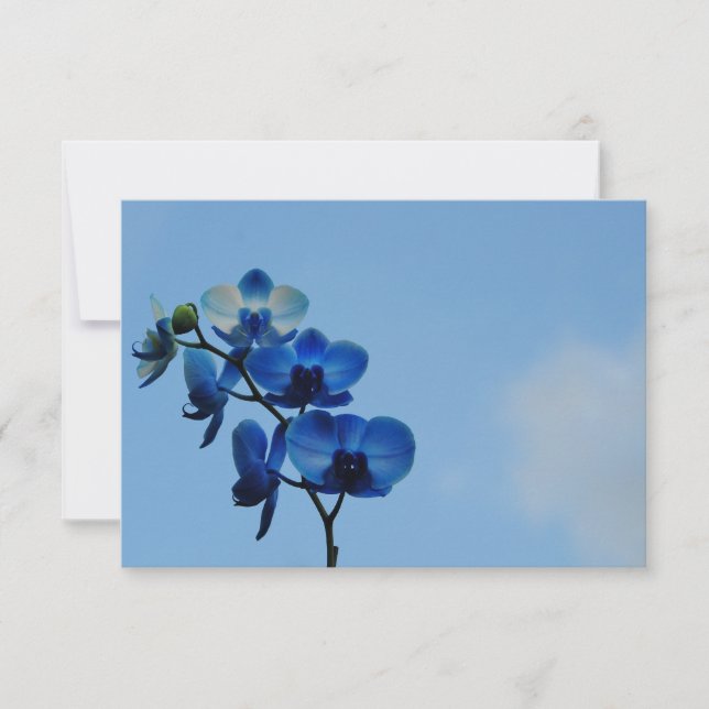 Carte Orchidée bleue (Devant)