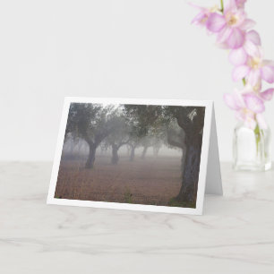 Carte Orchidée d'oliviers à un matin de Foggy