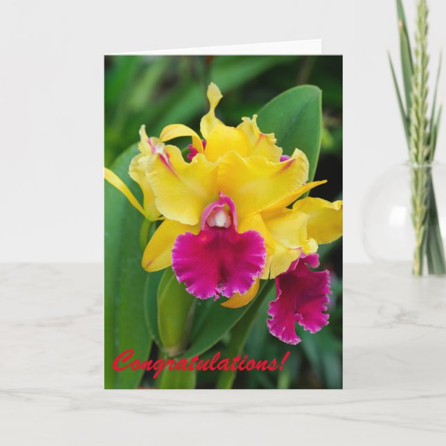 Carte Orchidée exotique aux couleurs jaune et rose chaud (Devant)