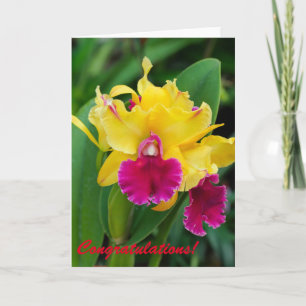 Carte Orchidée exotique aux couleurs jaune et rose chaud