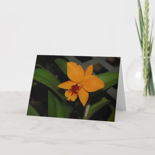 Carte Orchidée orange (Devant)